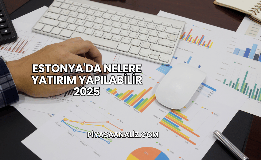 Estonya'da Nelere Yatırım Yapılabilir 2025