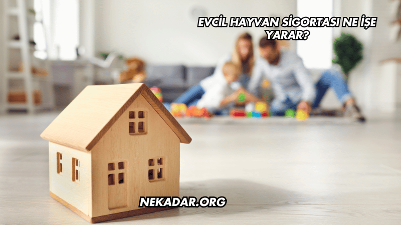 Evcil Hayvan Sigortası Ne İşe Yarar?